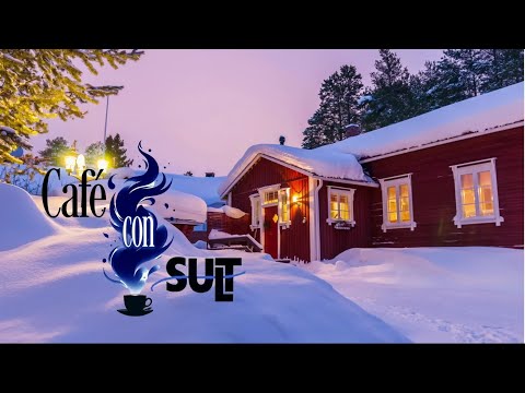 Cafe con SULT - Viihteen ja luovan talouden kasvuohjelma